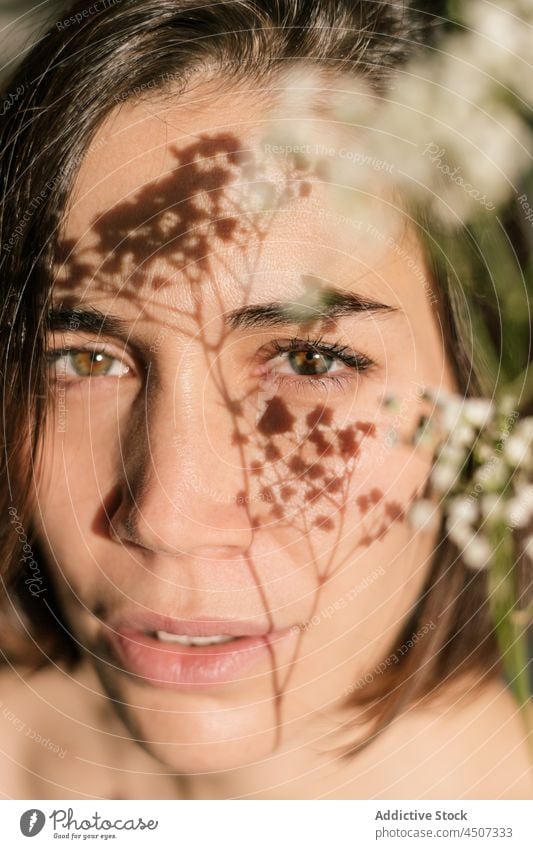 Woman with shadows from flower on face in sunlight woman portrait feminine bloom smooth skin twig sunshine female delicate gentle human face beauty shiny