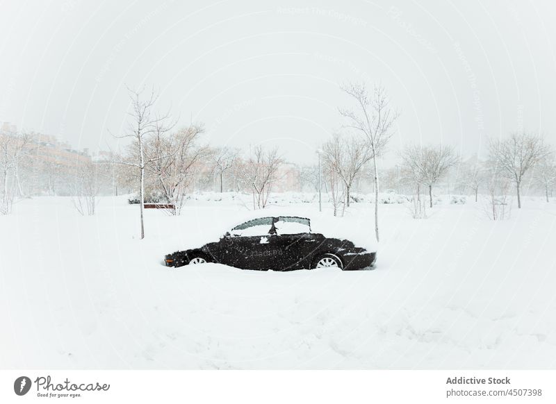 Car covered with snow during snowfall car snowdrift winter overcast parked forgotten haze cloudy wintertime transport leafless tree vehicle automobile snowflake