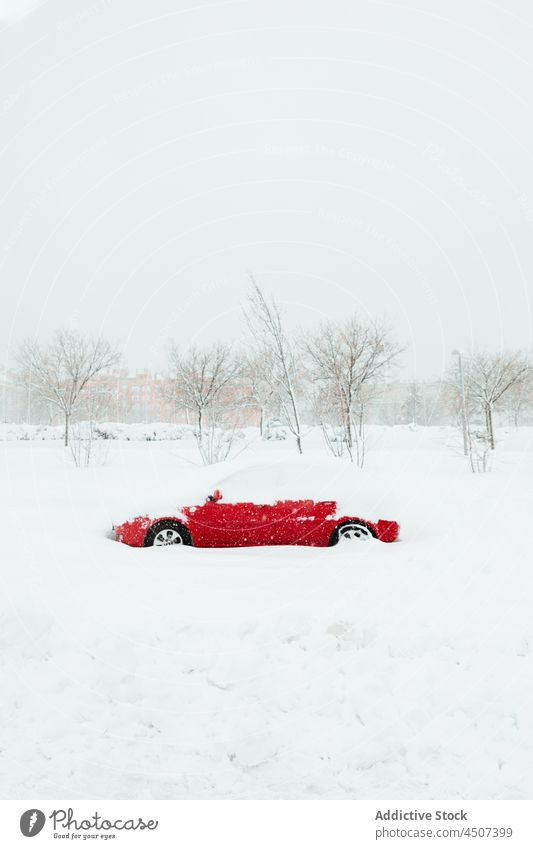 Car covered with snow during snowfall car snowdrift winter overcast parked forgotten haze cloudy wintertime transport leafless tree vehicle automobile snowflake