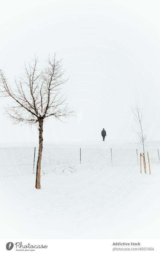 Person standing in snowy terrain with bare trees person winter mist lonely nature environment cold overcast fence fog haze landscape snowdrift wintertime gloomy