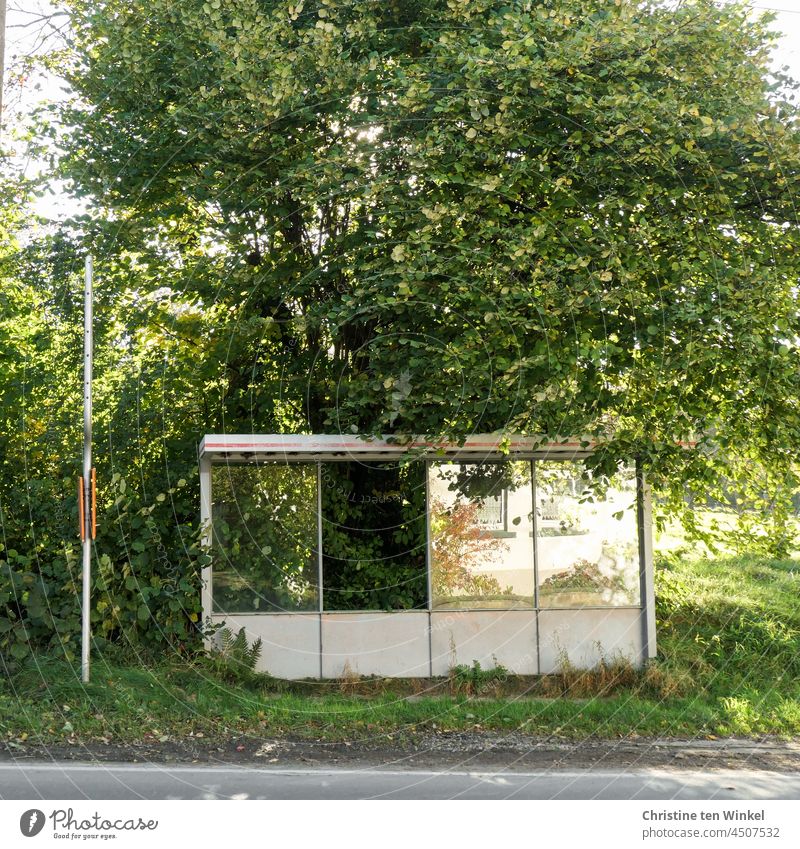 Bus stop in the green with tree and bushes. In the panes of the bus shelter the windows of the house opposite are reflected Shelter reflection Window Glass Tree