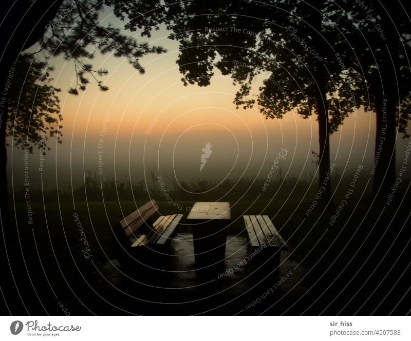seating group Bench Table Tree Morning fog Field Night Meadow Deserted Fog Sunrise Autumn