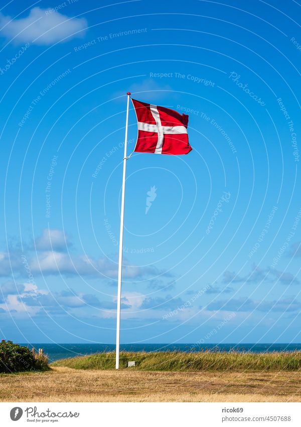 The flag of Denmark with blue sky shepherd's check Flag Flag of Denmark coast North Sea Skagerrak Summer Nature Jutland Hjørring Hjorring Sky Clouds Blue Green