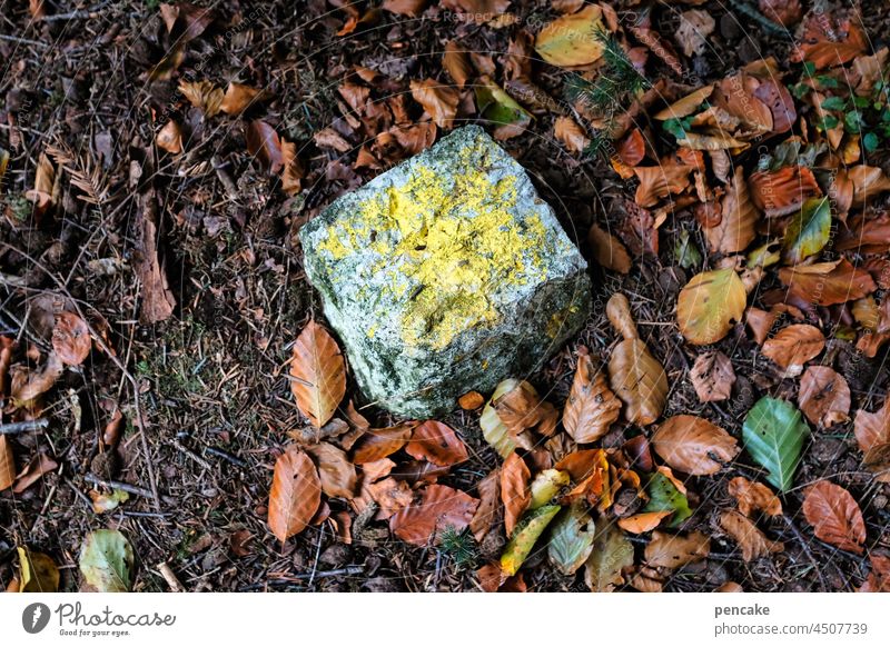 lightness | is relative Stone landmark paving stone Woodground autumn leaves Lie Earth's gravity Weight Easy Heavy Autumn Gravity Border Kilogram Yellow