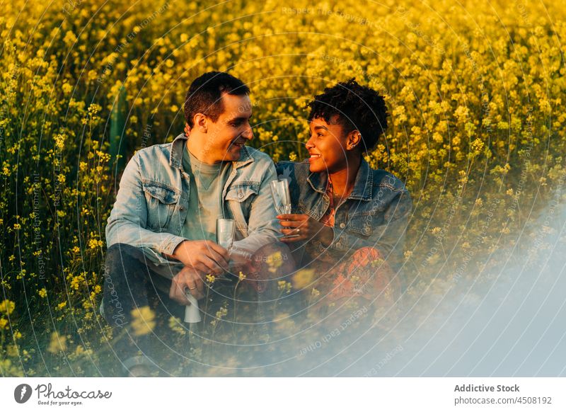 Happy young diverse couple sitting in meadow in sunlight date romantic love together drink champagne relationship affection close nature multiracial multiethnic