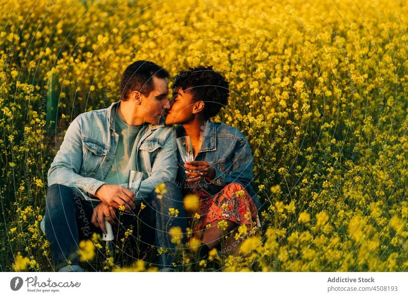 Happy young diverse couple kissing in meadow in sunlight date romantic love together drink champagne relationship affection close nature multiracial multiethnic