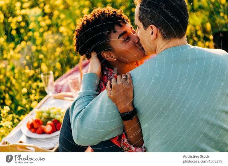 Loving multiracial couple hugging gently during picnic in city park kiss romantic love relationship meadow eyes closed together embrace date boyfriend