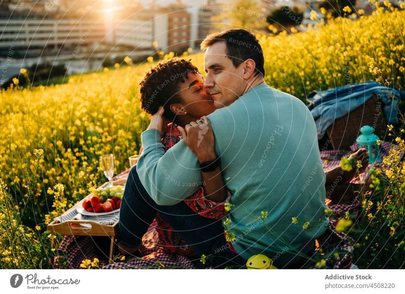 Loving multiracial couple hugging gently during picnic in city park kiss romantic love relationship meadow eyes closed together embrace date boyfriend