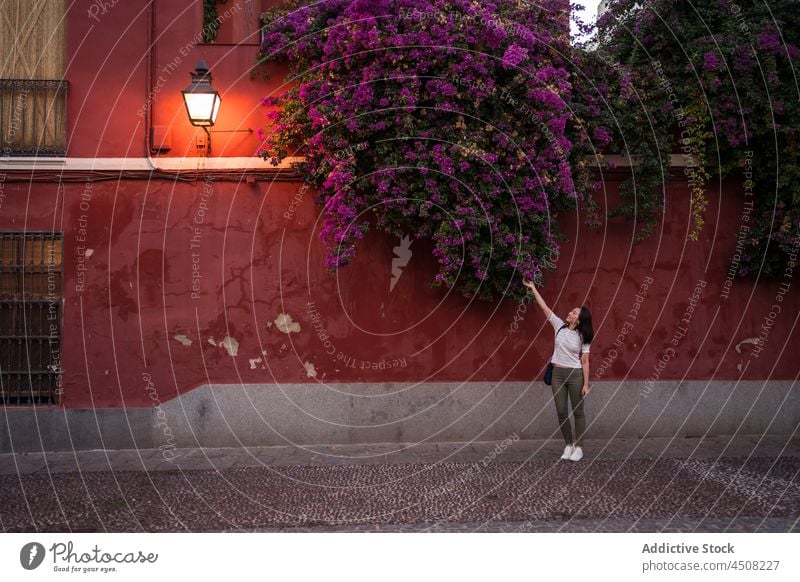 Woman on pathway near aged building with flowers woman town old tourist street shrub journey floral grow plant admire house cordoba spain pavement walkway