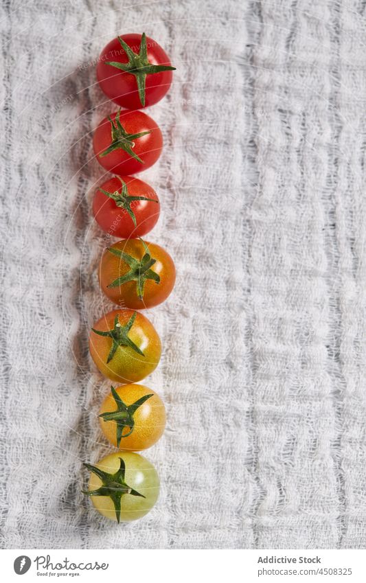 Row of cherry tomatoes from unripe to ripe row process stage vegetable agriculture composition order line development set various stem assorted many fabric grow