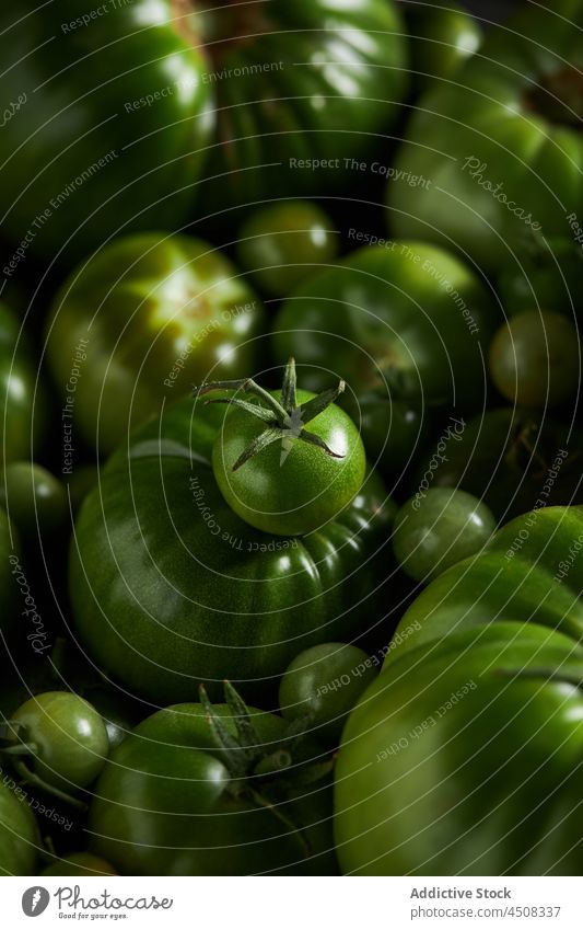 Cherry tomatoes placed on pile of green vegetables unripe harvest cherry tomato agriculture heap farm production food raw cultivate produce whole wholesome