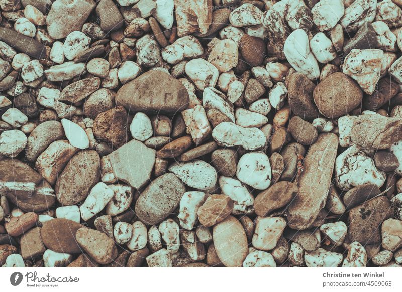 pebbles Pebble Brown tones Stone Structures and shapes stones Background picture Close-up naturally Stone Bed Front garden Bird's-eye view Gravel beach