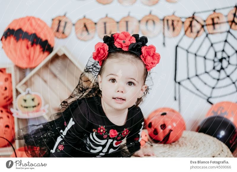 beautiful one year old caucasian girl in halloween costume at home with Halloween decoration, Lifestyle indoors. Halloween party concept. happy studio gorgeous