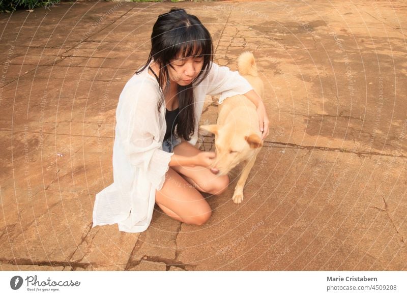 An Asian girl petting a cute dog asian girl pet dog beauty beautiful girl friendship togetherness adorable cuteness love joyful friendly pretty adult leisure