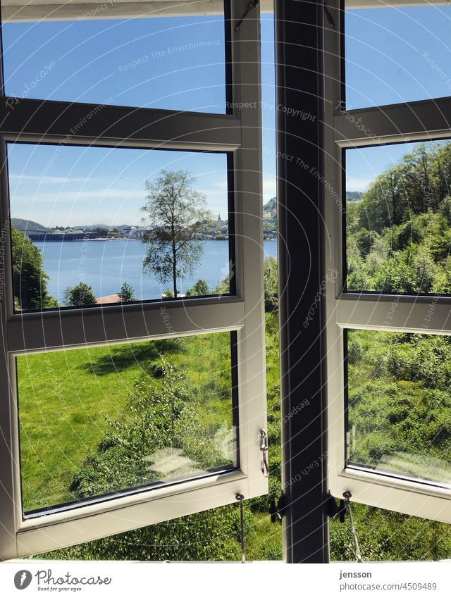 View out of the window onto a lake Norway Fjord Fjord View Window Summer Green Garden Lattice window Sun Sunlight warm sunny Summery Blue Blue sky trees