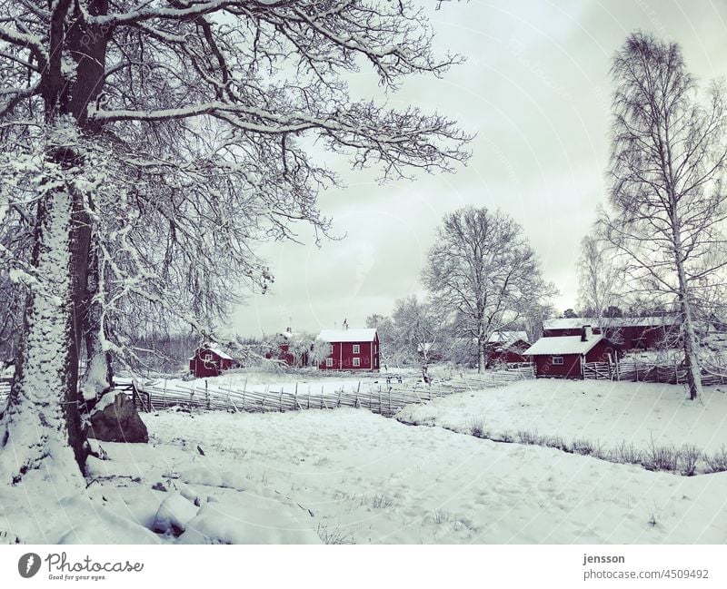 Winter in Sweden Winter mood Winter's day Snow winter Cold onset of winter Weather chill White December Landscape Climate Nature Scandinavia Red Swedish house