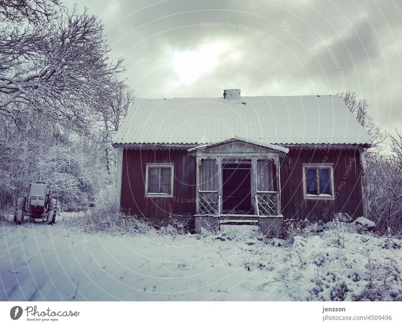 abandoned wooden house in winter Swede Swedish house Wooden house Winter Winter mood Winter's day snowy snow-covered trees Snow Cold White Nature chill Freeze
