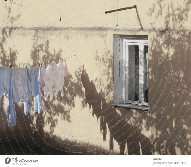 Dry area Washing day clothesline Hang Laundry Textiles Meadow Clothes peg Colour photo Exterior shot Clean Clothing T-shirt Cotheshorse out Beautiful weather