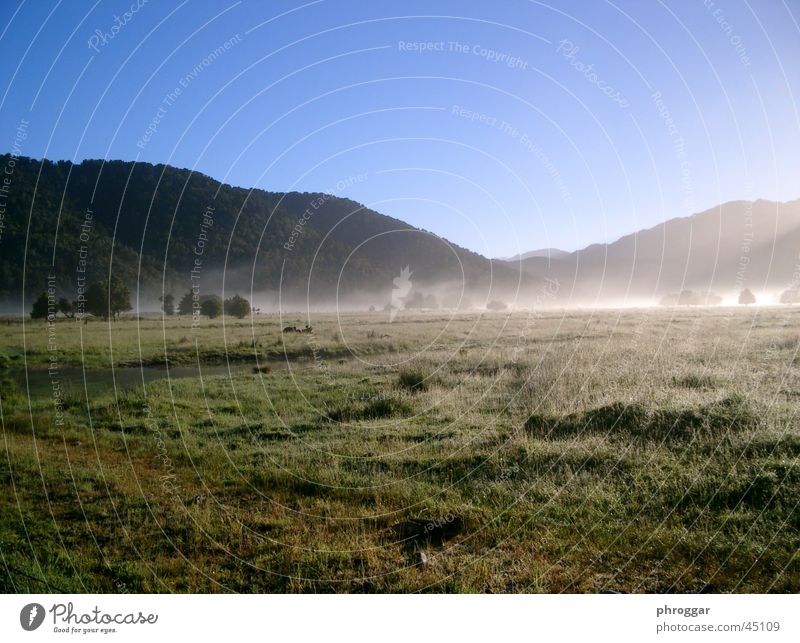 MorningSun Fog Meadow Calm Valley
