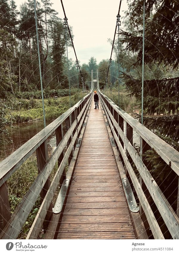 Boy on the old bridge Bridge Wooden bridge way Way out Forest Spruce Spruce forest Goal walker Spruce Tree