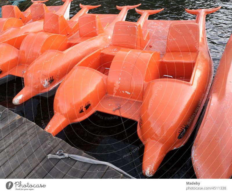 Plastic pedal boats in bright orange in kitschy dolphin design at the jetty in summer at Poyrazlar Gölü near Adapazari in the province of Sakarya in Turkey