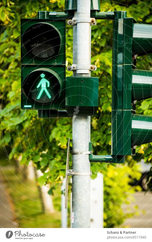 the pedestrian lights are green Pedestrian little man ampelmännchen Traffic light Green Road sign traffic light forbidden stop Transport Road traffic