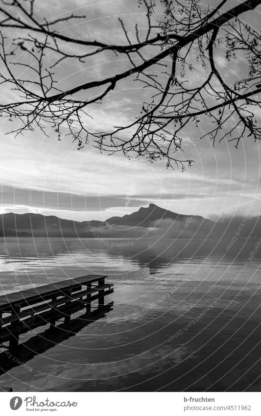 Lake with boardwalk; view to the mountains, branches of a tree without leaves lake view Black & white photo moon lake Upper Austria Salzkammergut Landscape
