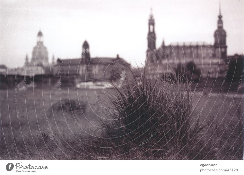 iGras Loneliness Tuft of grass Above Brühlsche Terrasse Dresden Architecture that Grassland on the Elbe River with Looking The Frauenkirche