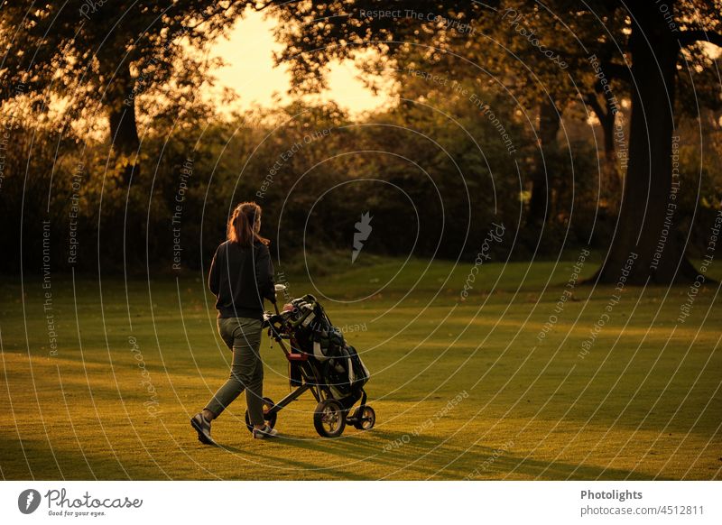 Young woman walking around golf course with golf bag and trolley in the evening sun Golf Golf course Golf trolley Golf bag Walking Going Golf player Evening sun