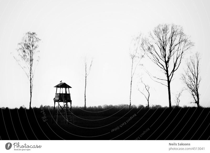 black and white silhouettes of leafless trees, bright sky, hunting tower with lonely bird on roof. autumn background backlight beautiful beauty black forest