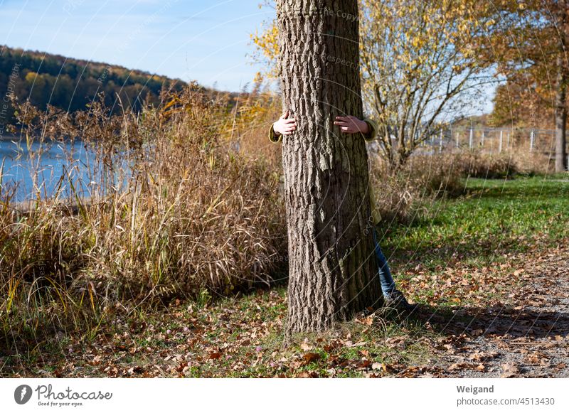 hug a tree in nature Nature Lake Climate protection nature conservation natural monument Oak tree bark Autumn Infancy