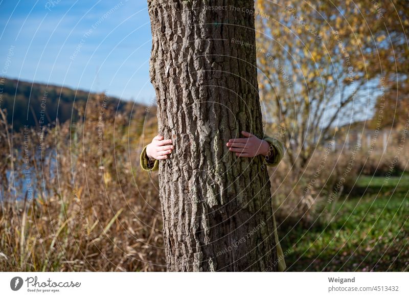 hug a tree Tree Nature Climate protection Environmental protection natural monument bark Love Autumn Hand Connectedness hike holidays Lake