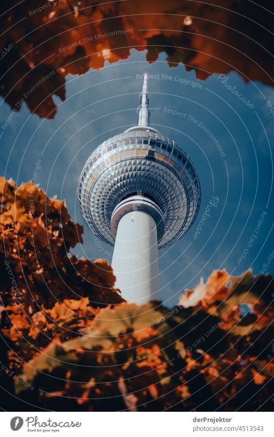 Berlin television tower framed by autumn leaves Contrast Deep depth of field Day Copy Space bottom Copy Space top Copy Space middle Copy Space right Deserted