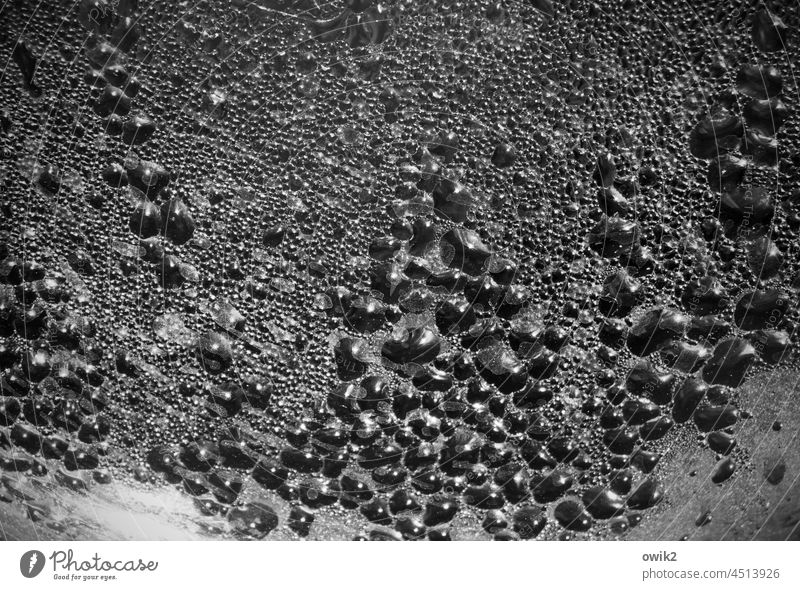 dribble Drops of water Background picture Arrangement Macro (Extreme close-up) Detail Photomicrograph Water Many Structures and shapes Close-up Abstract Pattern
