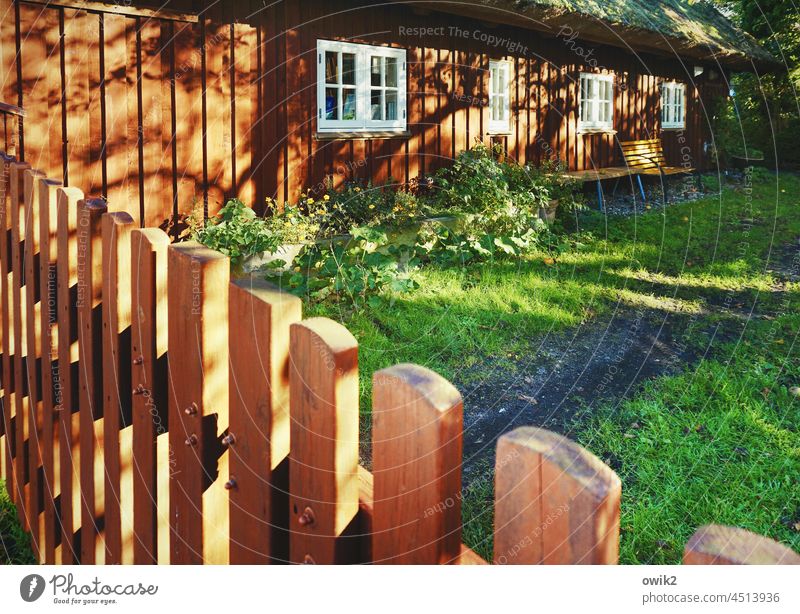 A dream in Faluröd red hut Boathouse wooden Building Hut Facade Window Wood Old Colour photo Bright Colours Red Idyll Exterior shot Close-up Detail Sunlight