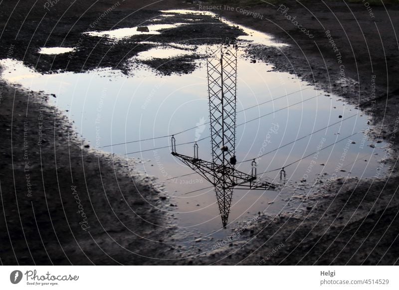 surreal | power pole in morning light as reflection in a puddle Puddle Electricity pylon power supply Morning off the beaten track Energy Energy industry