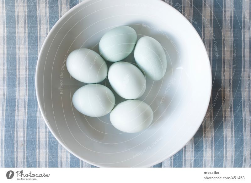 white eggs in a white bowl - studio shot from above Food Egg Breakfast Diet Bowl Healthy Kitchen Blue White Organic Chicken Ecological Country life Checkered