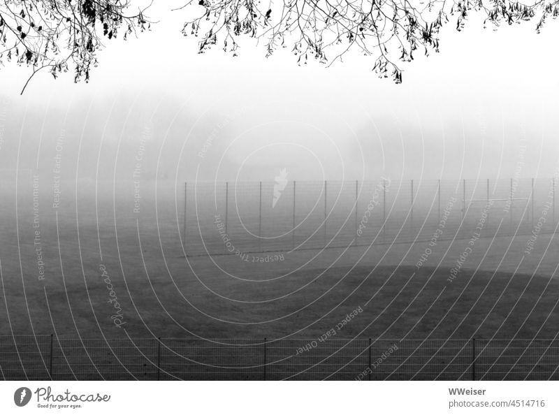 The sports field is barely visible in the fog Fog Gray Unclear Sporting grounds Olympic Park Munich stroll Tree twigs Minimalistic Fence Grating Meadow Grass