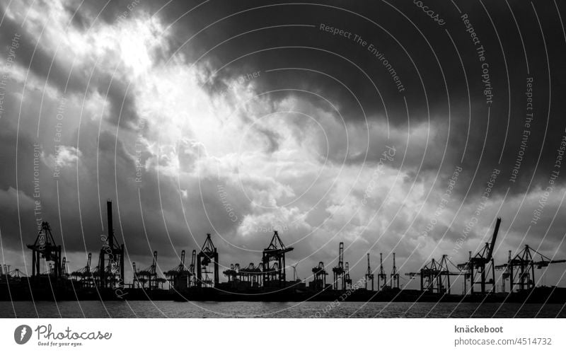 HH Port Harbour Port of Hamburg Elbe Colour photo River Navigation Sky somber Crane cranes Container terminal Dockside crane Logistics Economy