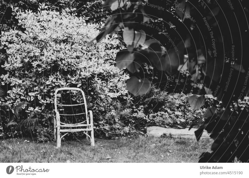 Old chair in the garden Chair Garden plot bushes Metal chair leaves Exterior shot Deserted tranquillity Relaxation Nature Garden allotments holidays Summer