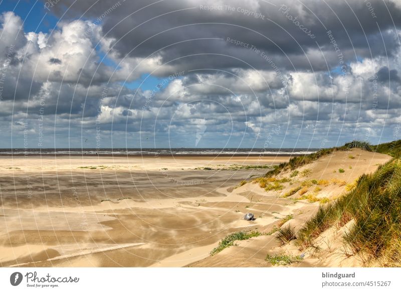 Stormy North Sea in Zeebrugge Freedom dunes welcome Wind Water drifts DuneDune Grass Gale stormy Ocean Exterior shot coast Nature wonderful Life Landscape
