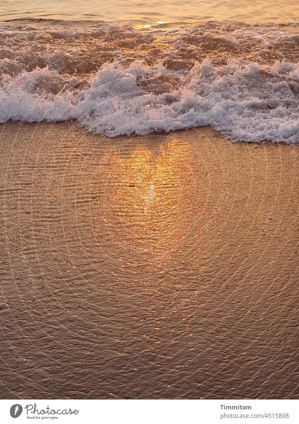 Evening at the North Sea - sunlight on waves and beach Evening sun Sunlight Sunset Waves Beach sparkle Sandy beach Vacation & Travel Denmark golden Water Ocean