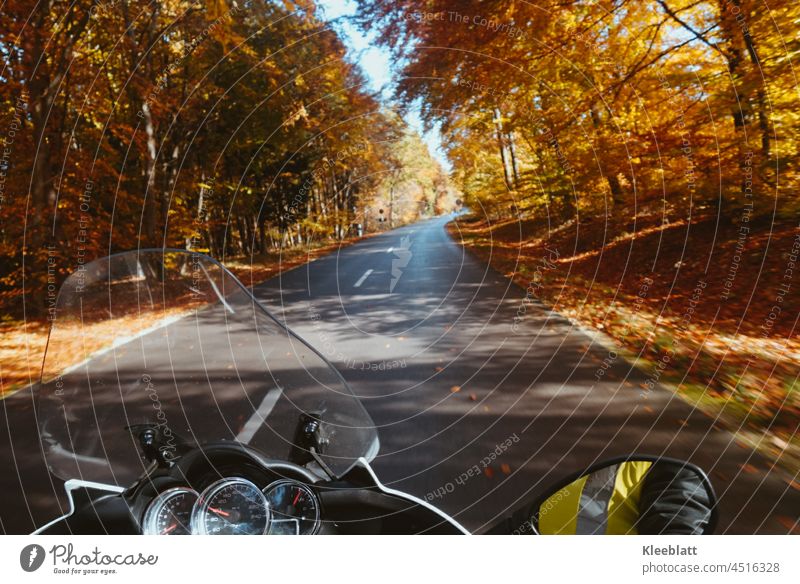 Motorcycle ride through autumnal woods at the end of the season - partial view of the motorcycle cockpit - pillion rider's view of the road Autumn Seasons