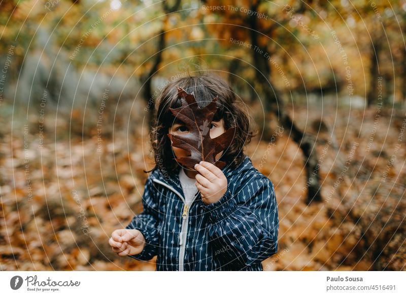 Cute girl playing with leaves Girl Child 3 - 8 years Caucasian Exterior shot Infancy Human being European Colour photo kid Autumn Authentic Winter having fun