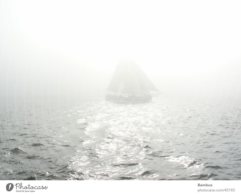 sailing vessel Sailing ship Ocean Netherlands Horizon Fog Navigation Sun Bright Water