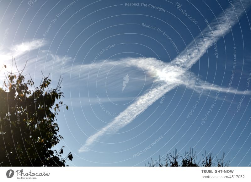 Make a cross / In the right place / In the blue sky? Vapor trail White Sky Blue crosswise Crossed Tracks Autumn Treetops Aviation Flying Beautiful weather