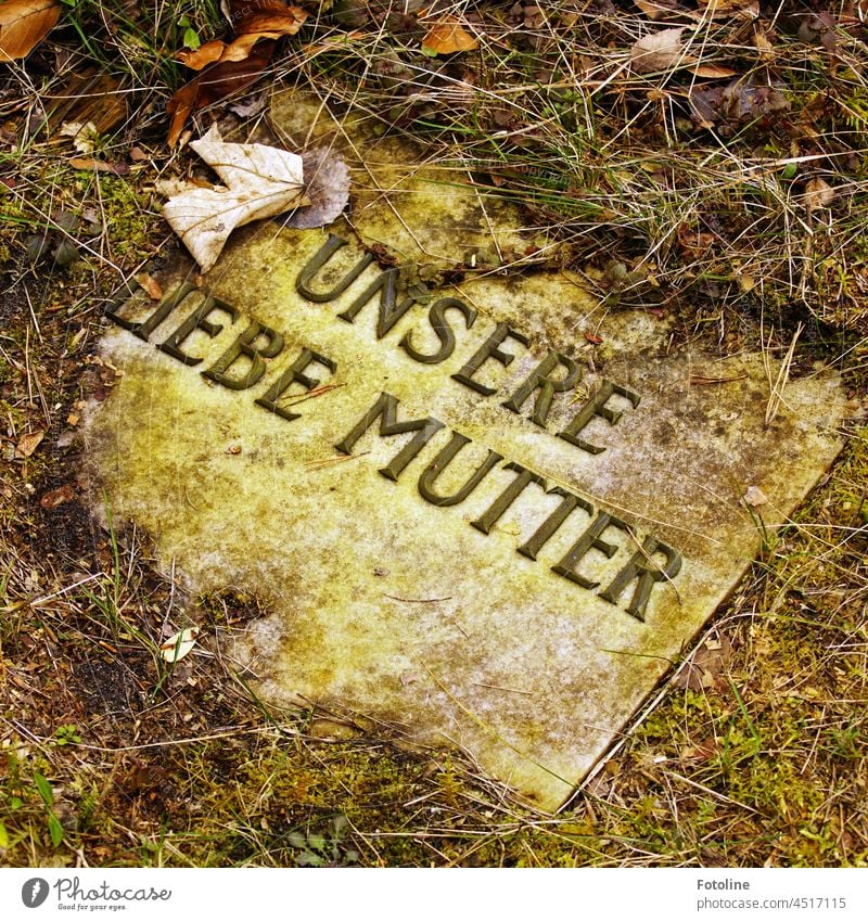Lost Place - Old gravestone that is slowly being surrounded by nature. Tombstone Gravestone Cemetery Death Grief Transience Exterior shot Sadness Deserted Stone