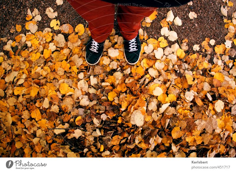 autumn so around Trip Hiking Thanksgiving Academic studies Human being 1 Nature Autumn Leaf Pedestrian Lanes & trails Pants Footwear Sneakers Walking Stand