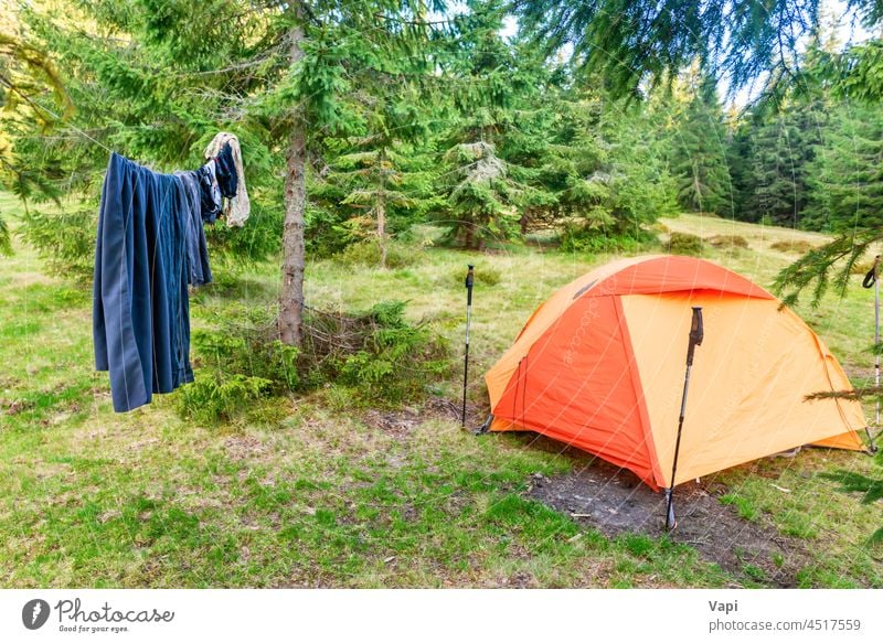 Tent camp with drying clothes tent forest nature landscape mountain beautiful tree orange family tent hiking campsite camping yellow travel pine summer grass