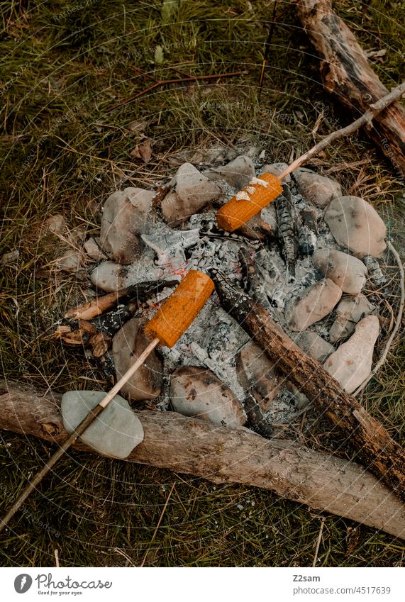 Corn is grilled over a campfire outdoor Nature camping BBQ Camping Adventure Friends Stick Maize Butter Fire ardor Coal preparation Wood logs Landscape Hot Burn